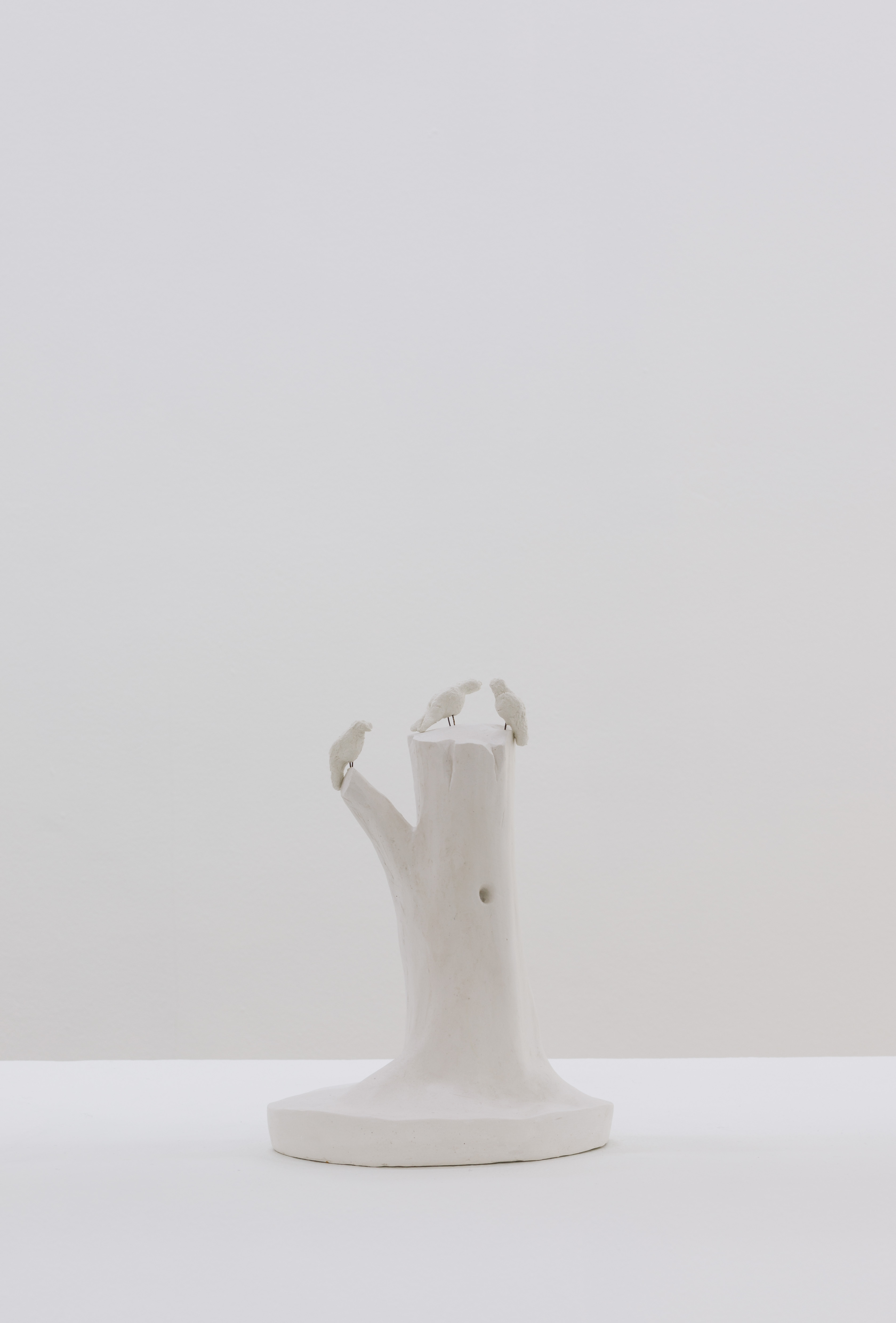 Andy Fitz